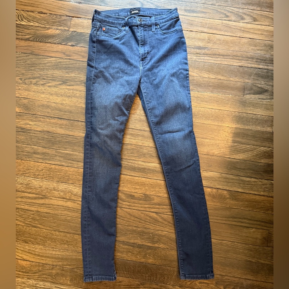 Hudson Jeans Blue Skinny Pants